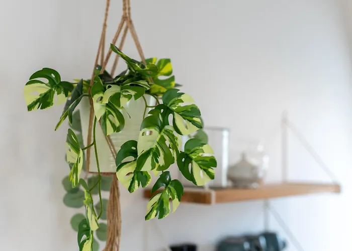 Apartament Dock 53 *