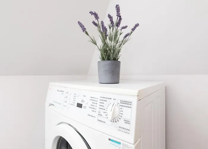 Dock 53 * Heikendorf